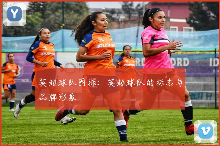 英超球队图标：英超球队的标志与品牌形象
